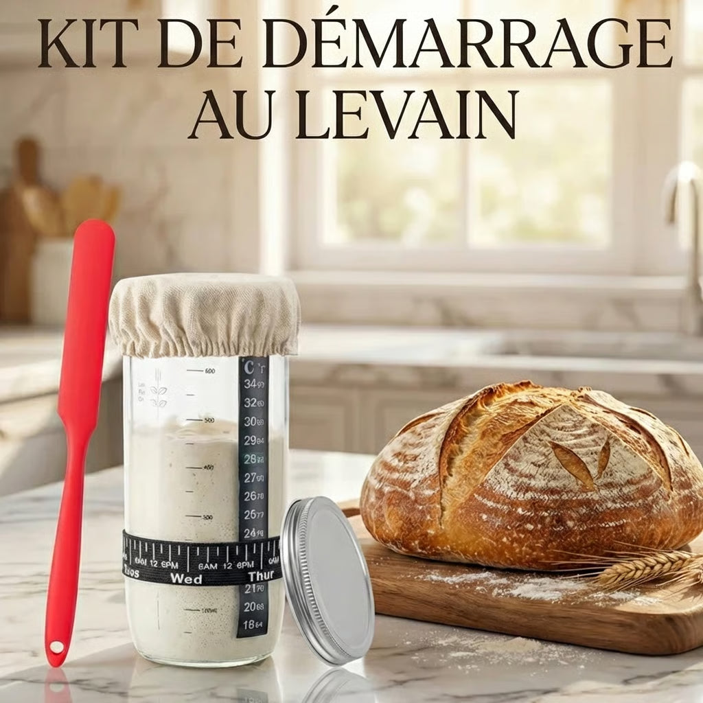 kit de démarrage pour levain